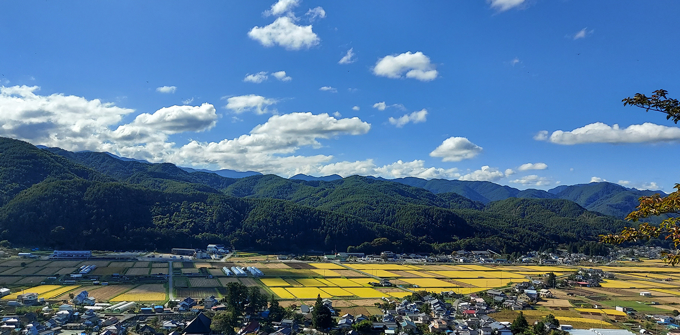 長和町遠景 青空の下、山に囲まれた田んぼと住宅街が広がっている