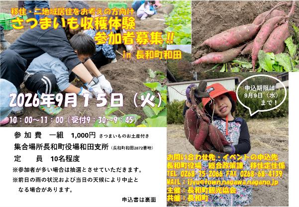 さつまいも収穫体験1