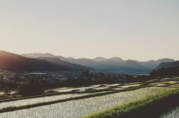 夕焼け時、長久保と古町の境にある田んぼからの遠景