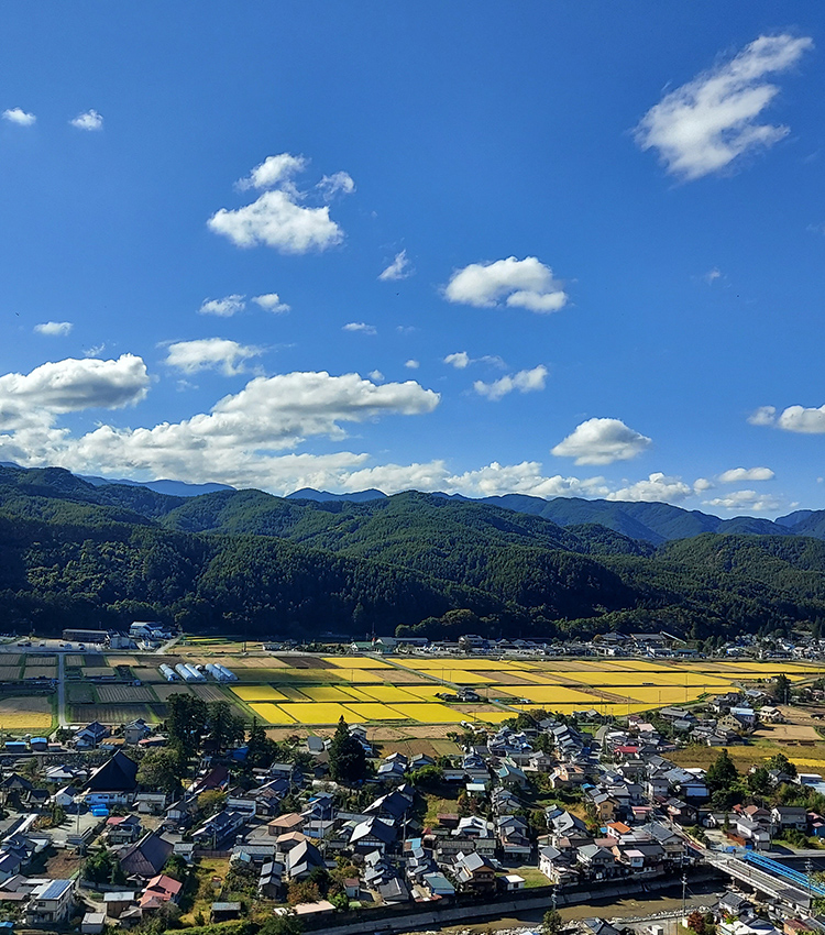 長和町遠景 青空の下、山に囲まれた田んぼと住宅街が広がっている