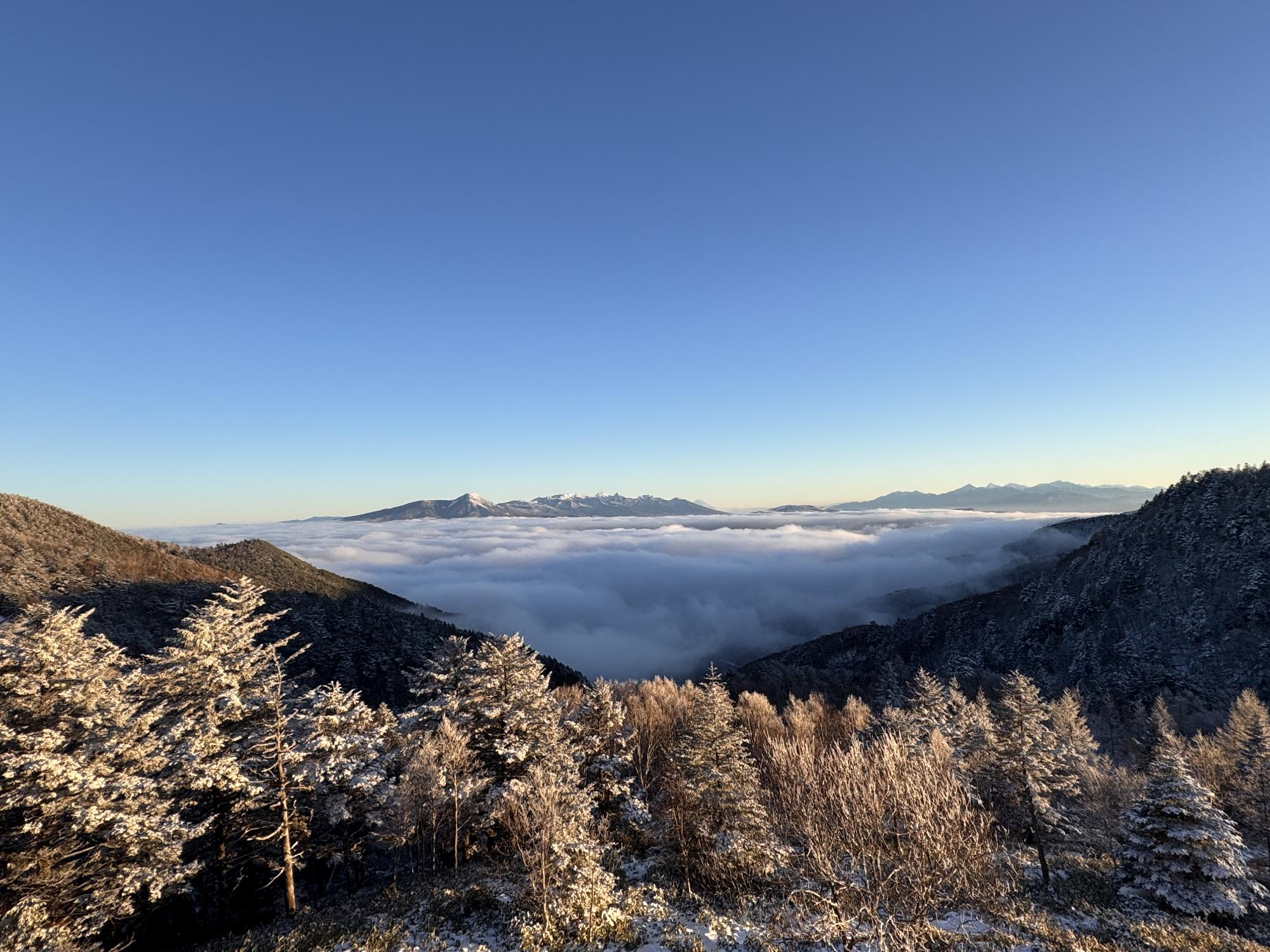 美ヶ原高原雲海＿八ヶ岳＿富士山＿南ア