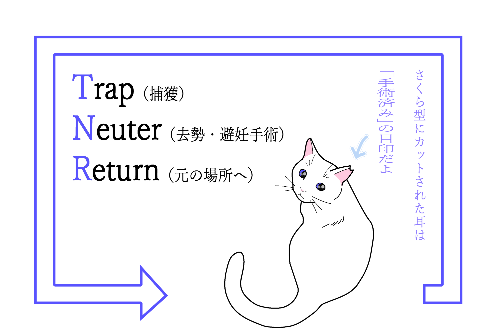 さくらねこ無料不妊手術事業について|長和町公式ホームページ