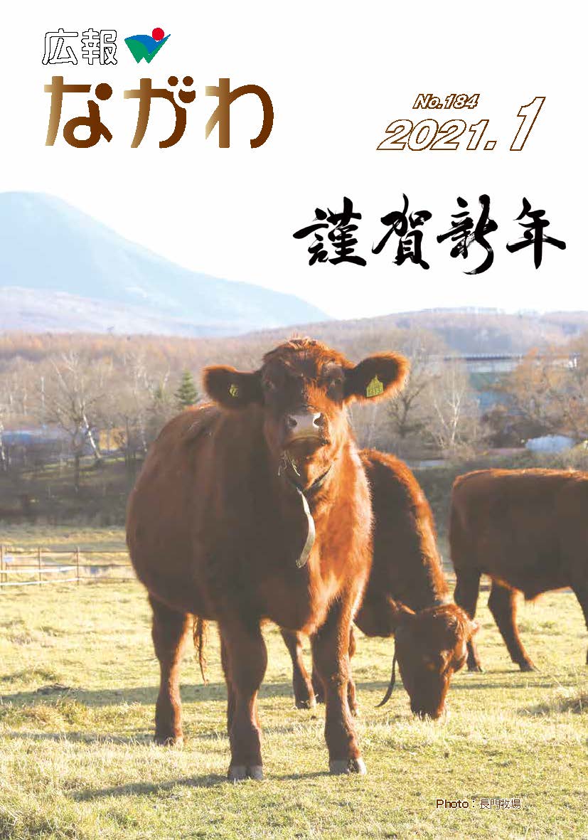 広報ながわ2101表紙