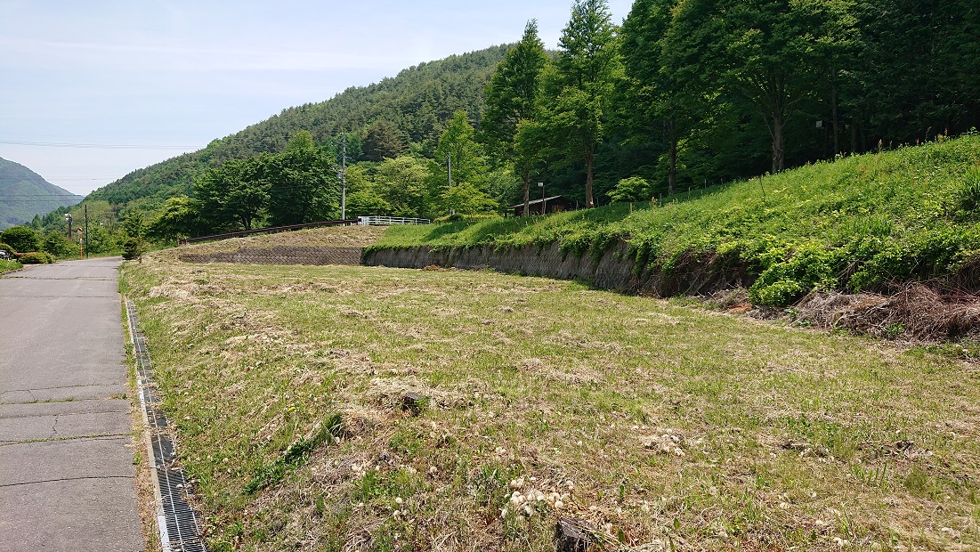 緑に生茂った山の下にある分譲地を撮影した写真